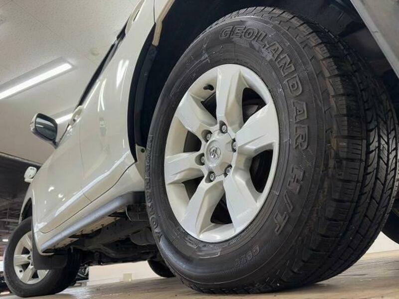 LAND CRUISER PRADO-18
