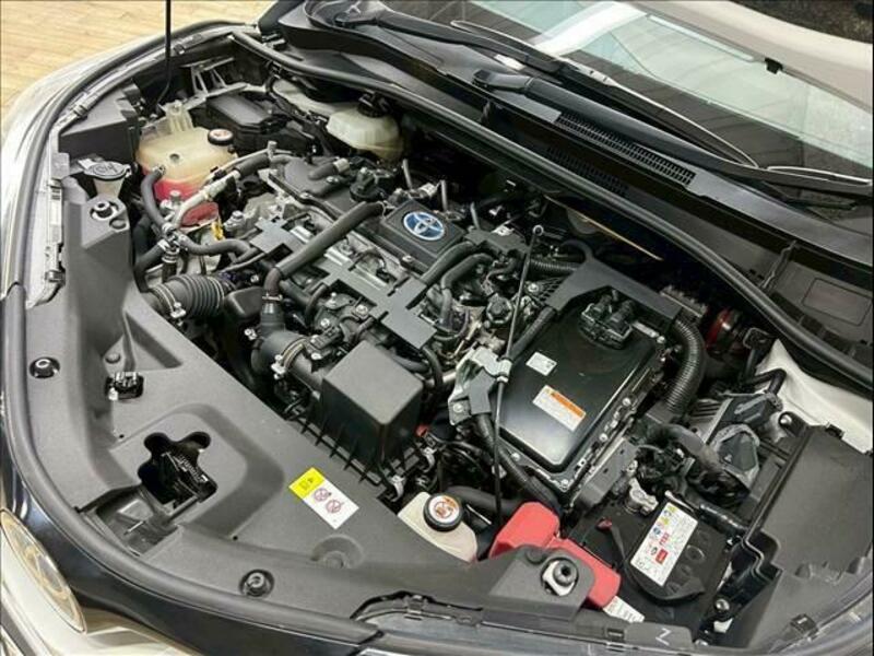 C-HR-13