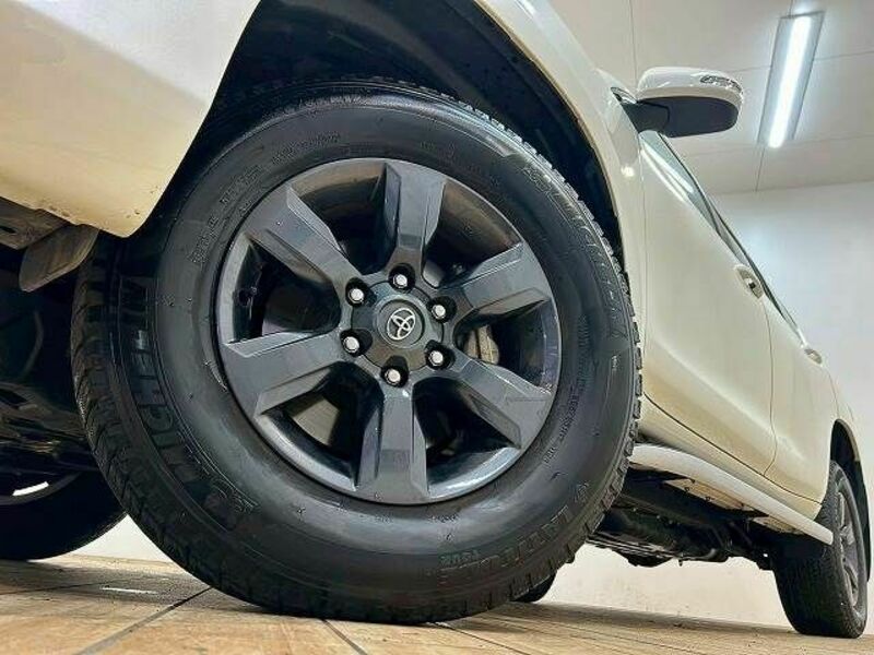 LAND CRUISER PRADO-17