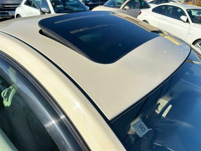 NEW BEETLE-19