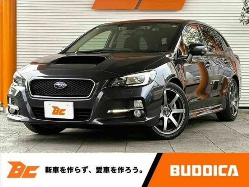 LEVORG-0