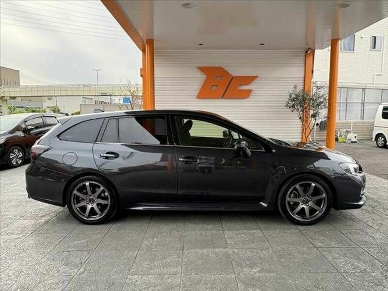 LEVORG