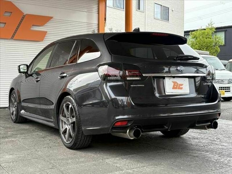 LEVORG