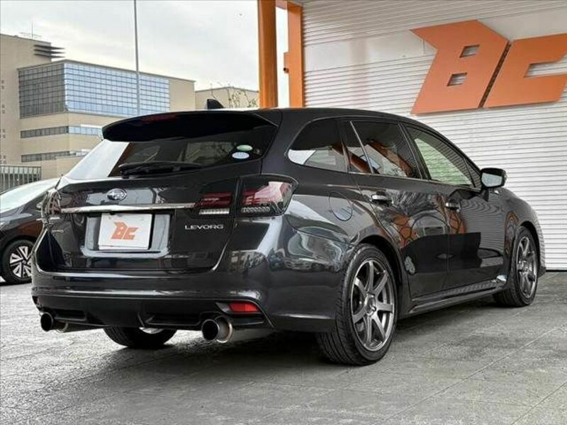 LEVORG