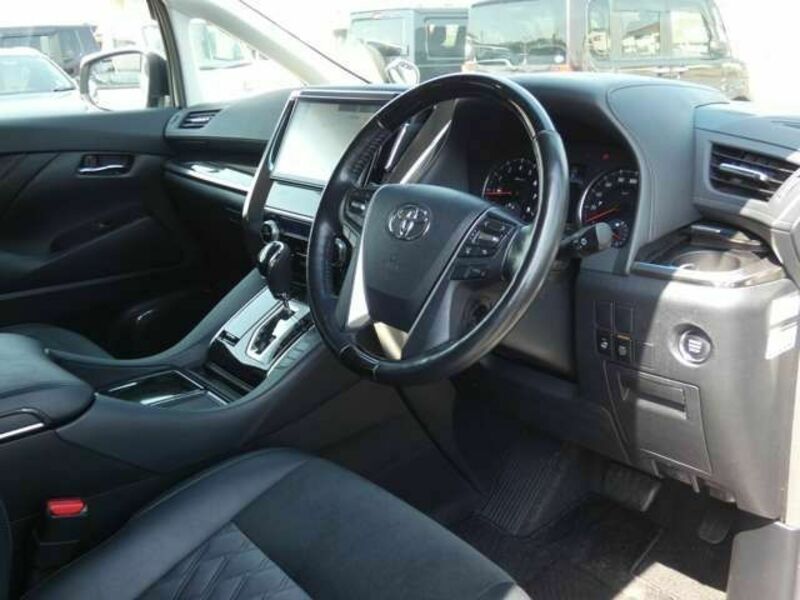 ALPHARD-10