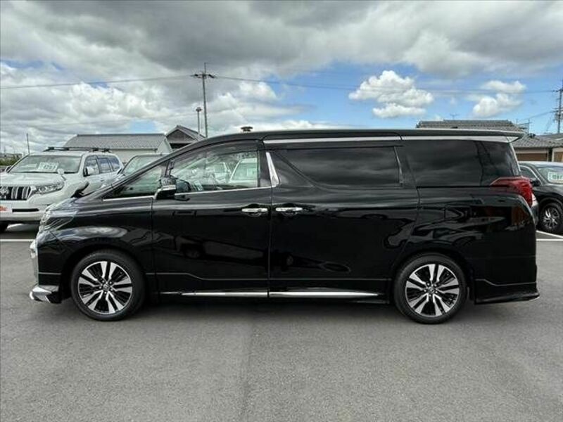 ALPHARD-10