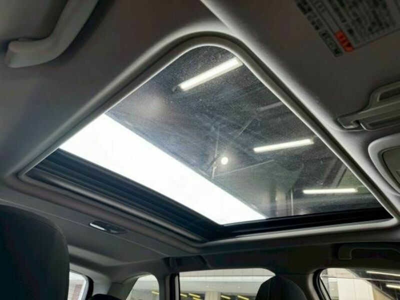 FORESTER-6