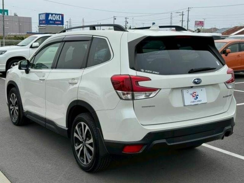 FORESTER-16