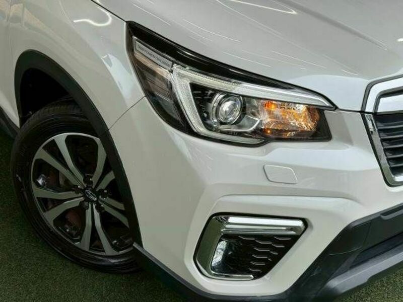 FORESTER-19