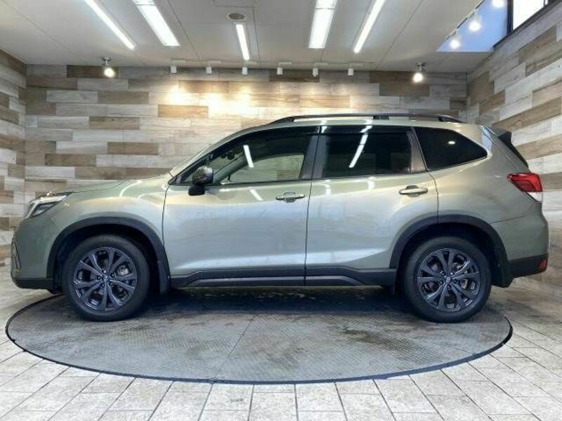 FORESTER-14
