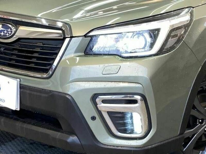 FORESTER-19