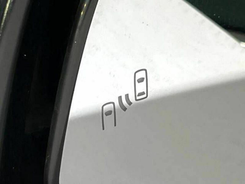 ALPHARD-6