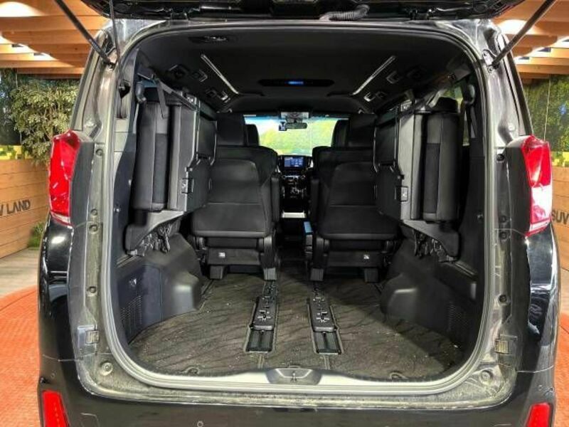 ALPHARD-10