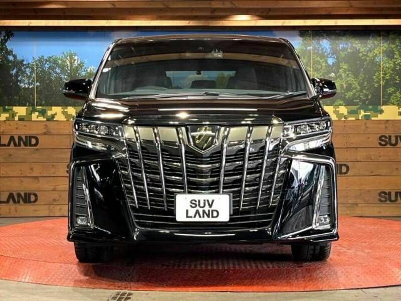 ALPHARD-14