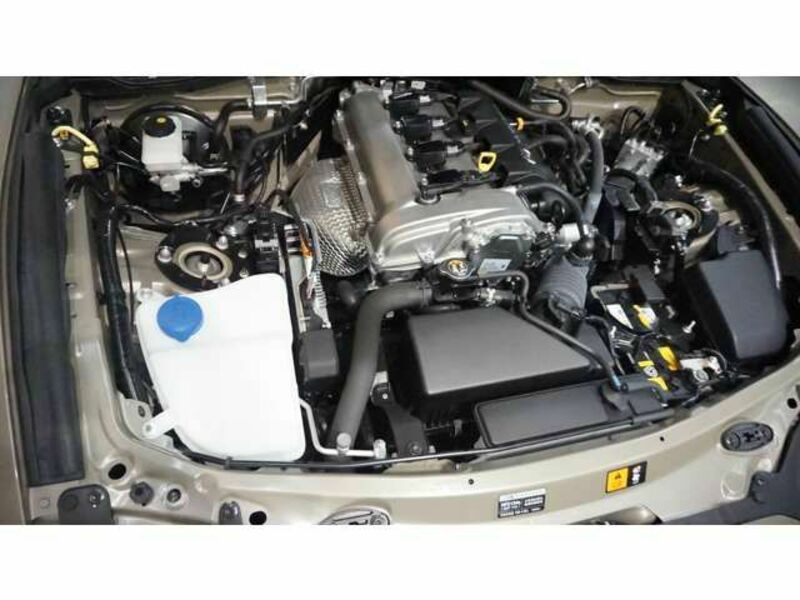 ROADSTER RF