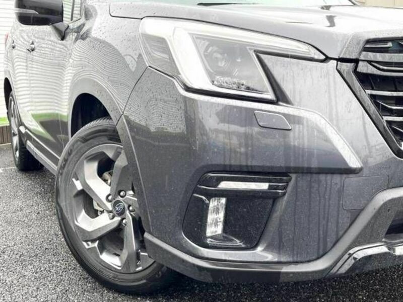 FORESTER-11