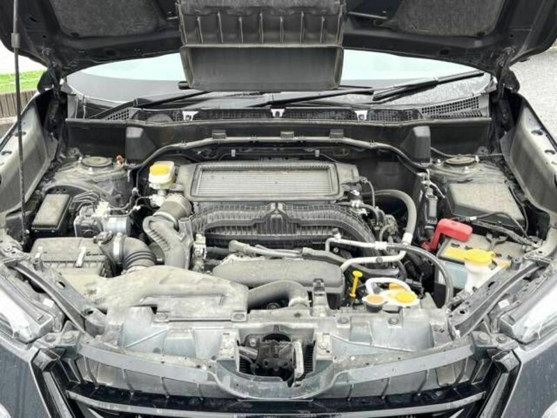 FORESTER-17