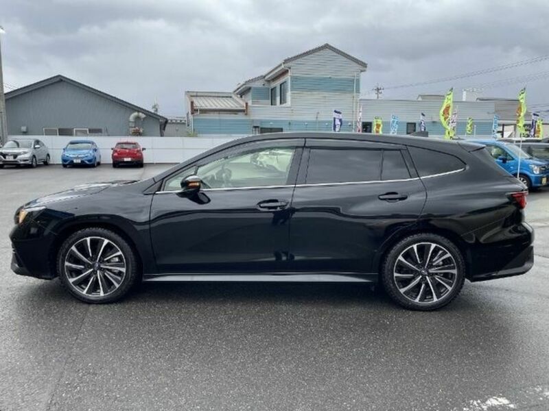 LEVORG