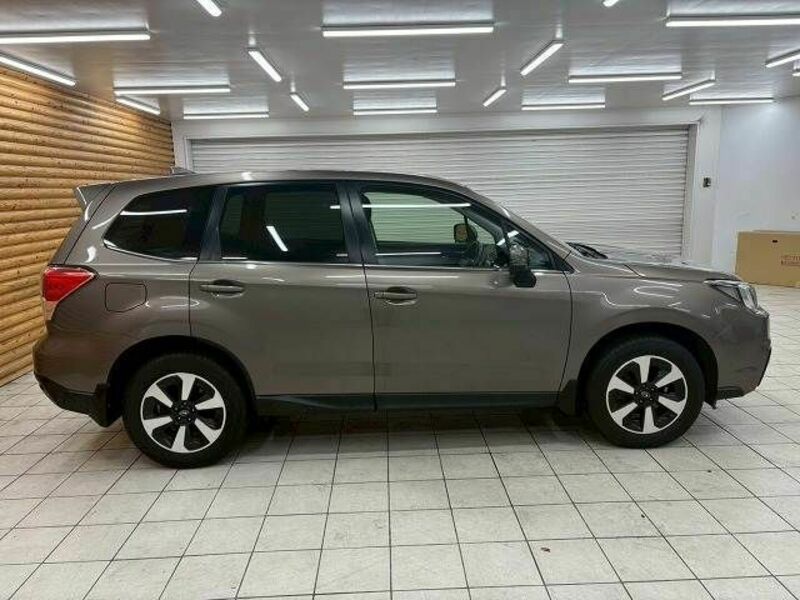 FORESTER