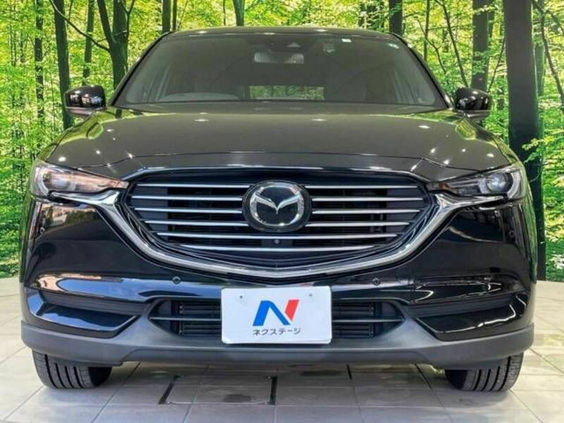 CX-8