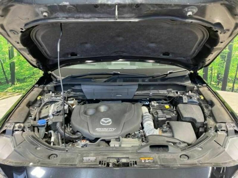 CX-8