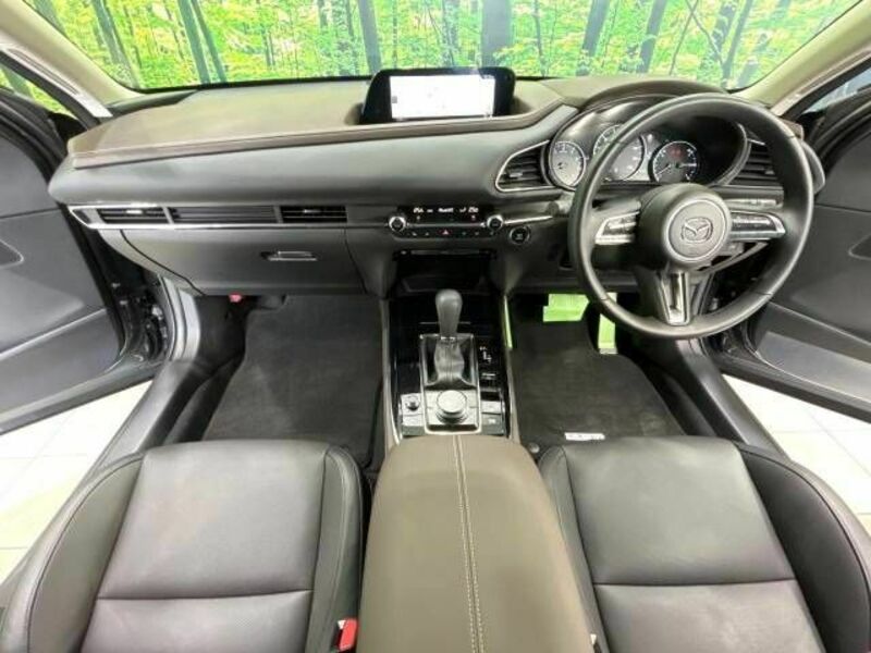 CX-30