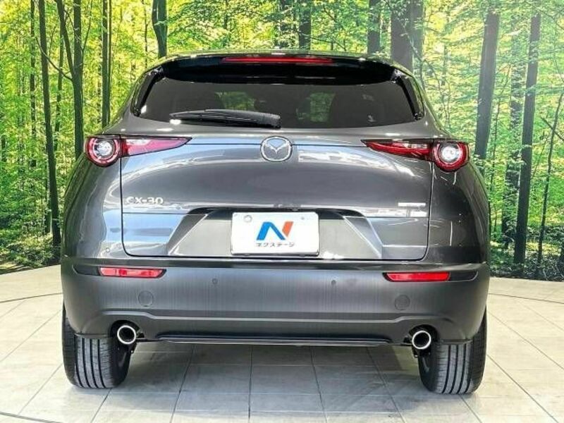 CX-30