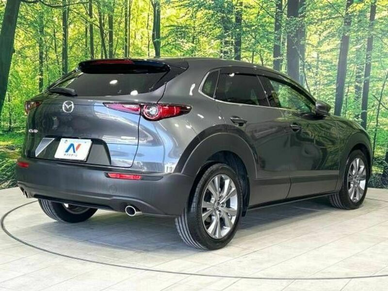 CX-30