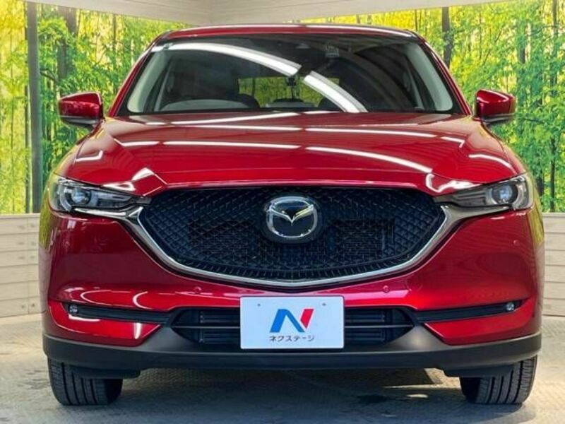 CX-5-13