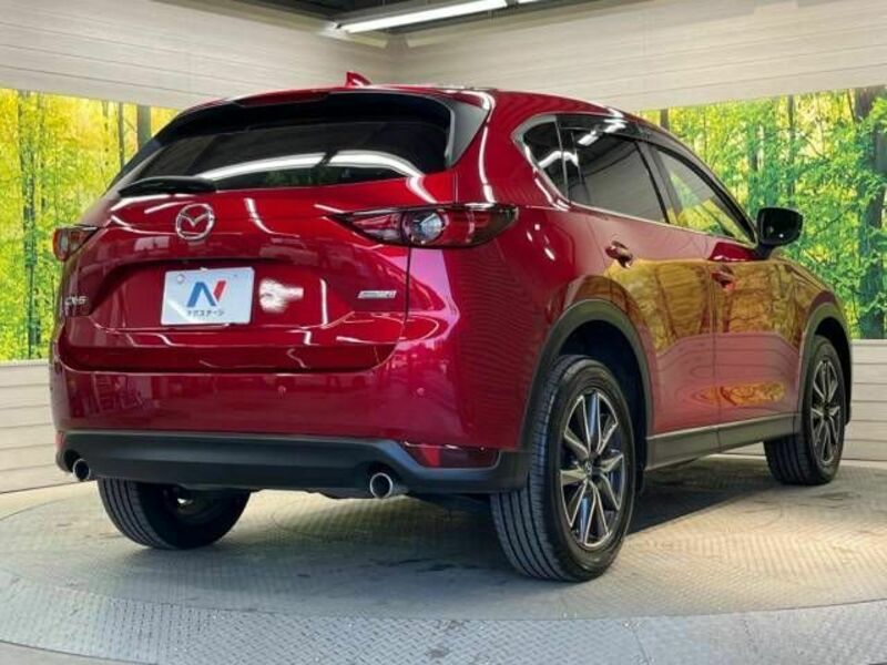 CX-5-16