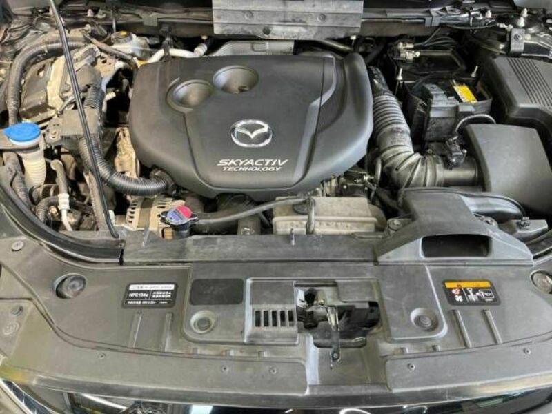 CX-5-17