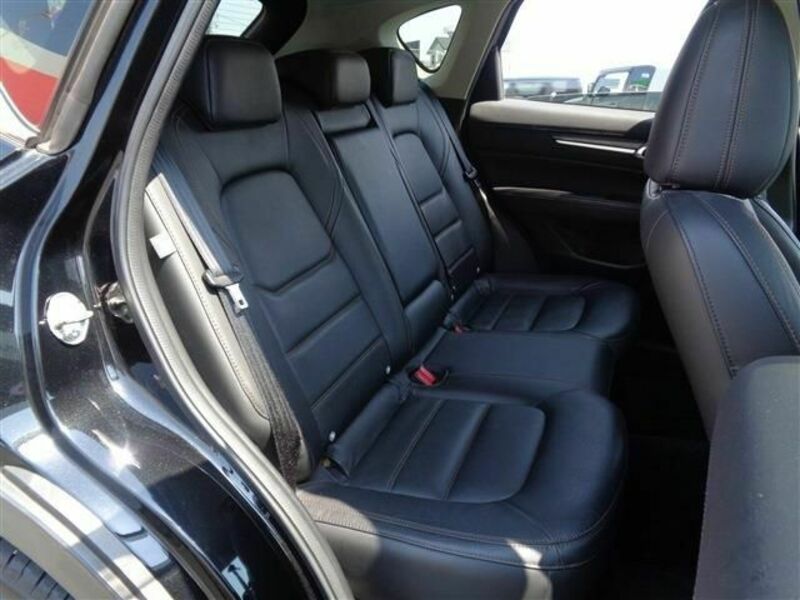 CX-5-19