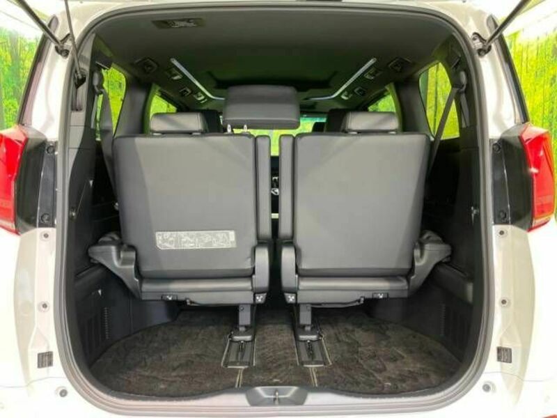ALPHARD-12