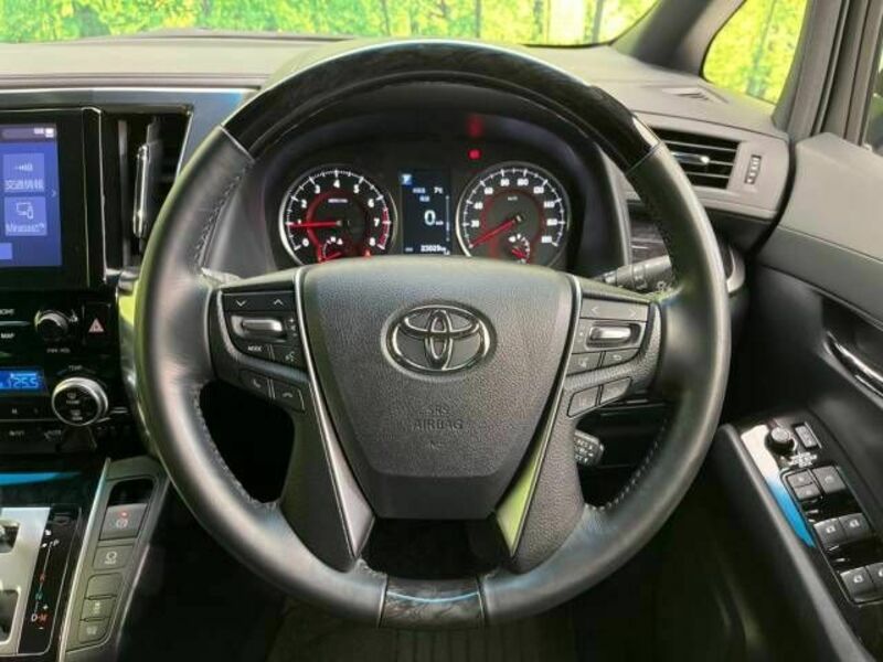 ALPHARD-13