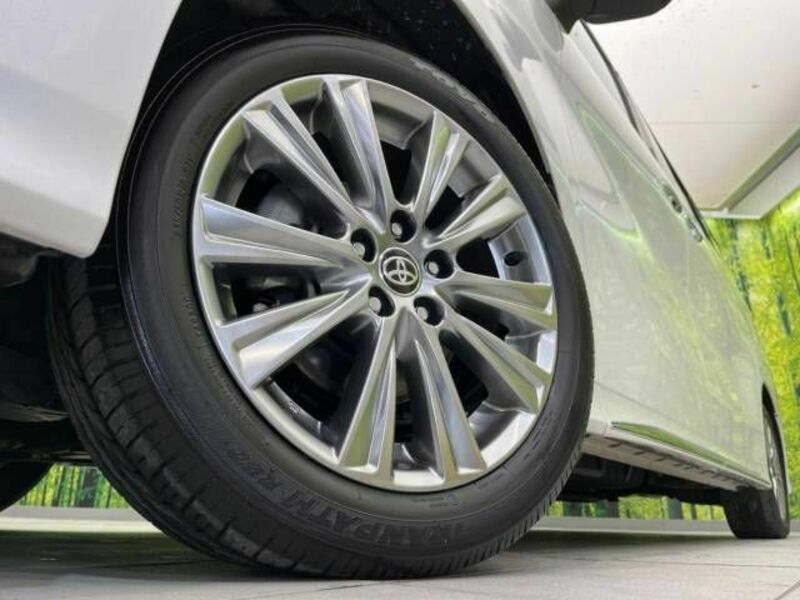 ALPHARD-15