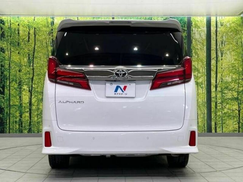 ALPHARD-17