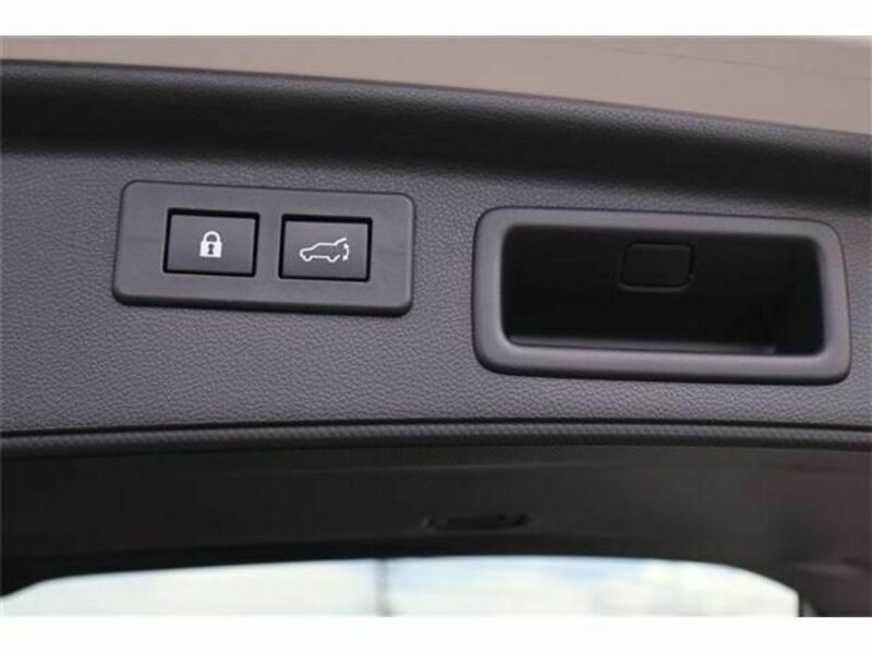 FORESTER-8