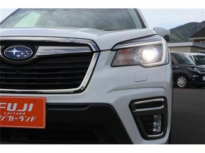 FORESTER-13