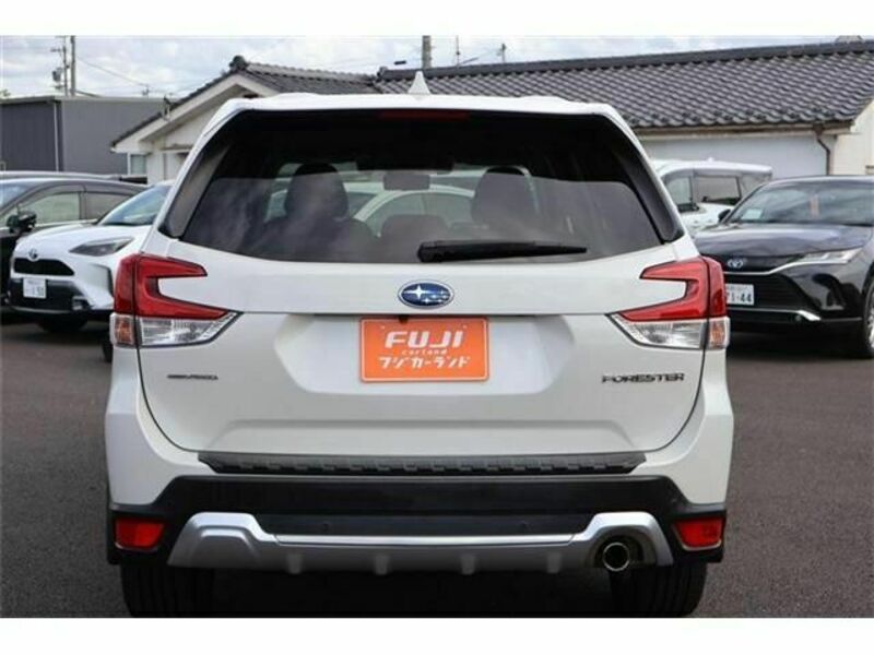 FORESTER-16