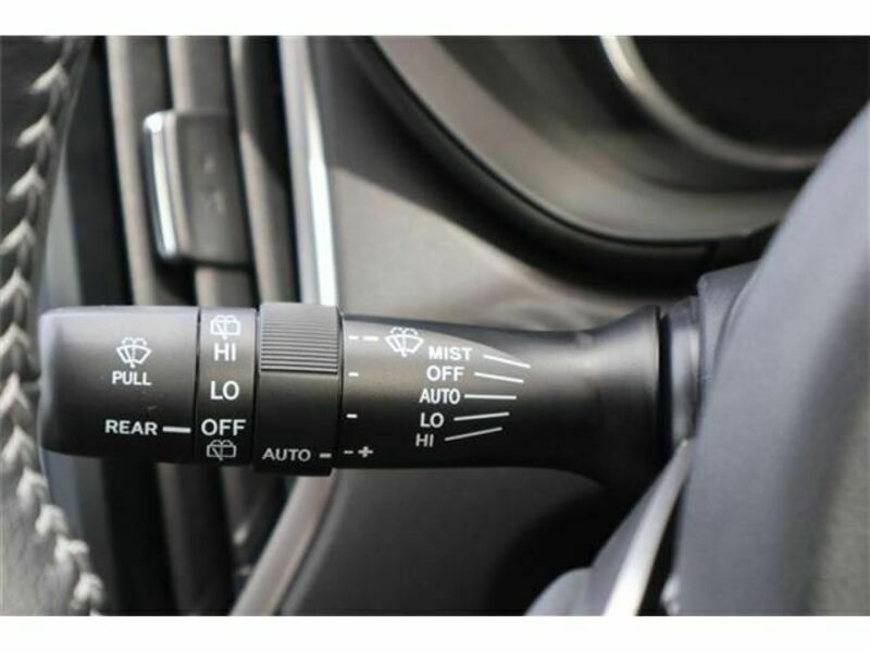 FORESTER-24