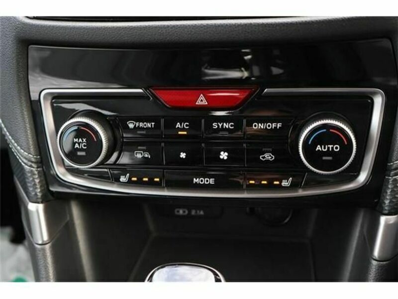 FORESTER-28