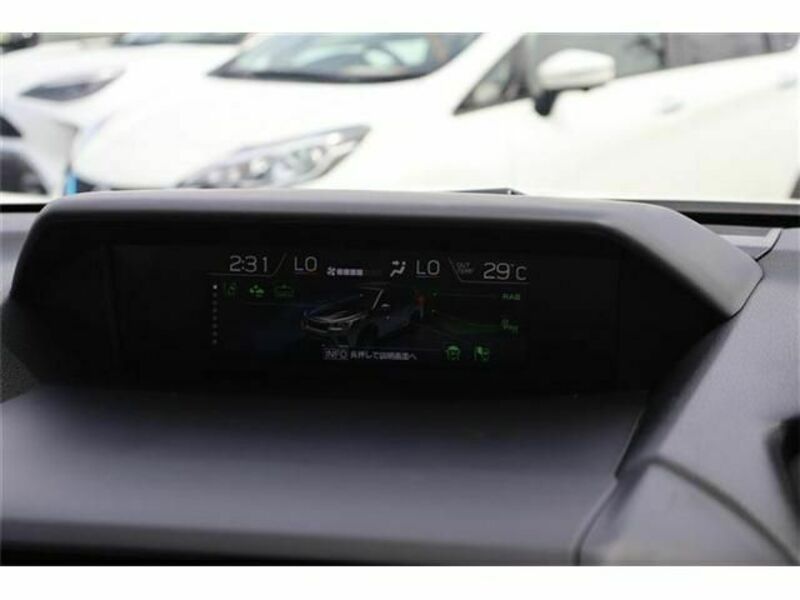FORESTER-29