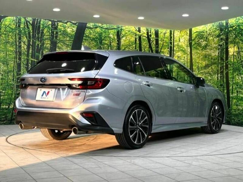 LEVORG
