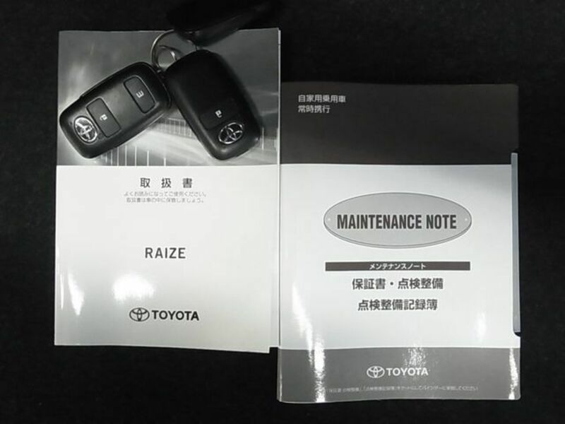 RAIZE