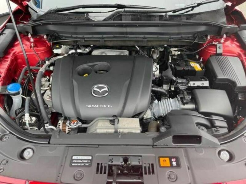 CX-5-17
