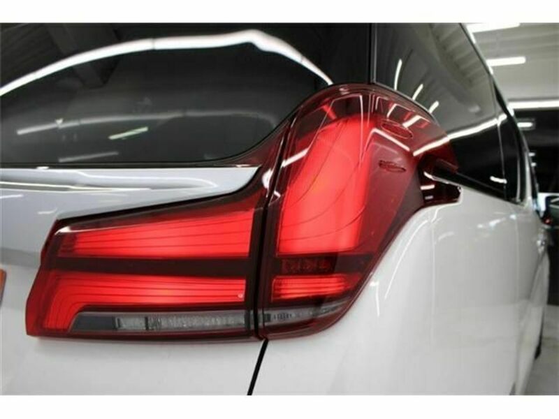 ALPHARD-10