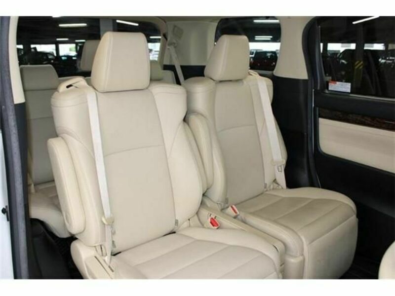 ALPHARD-13
