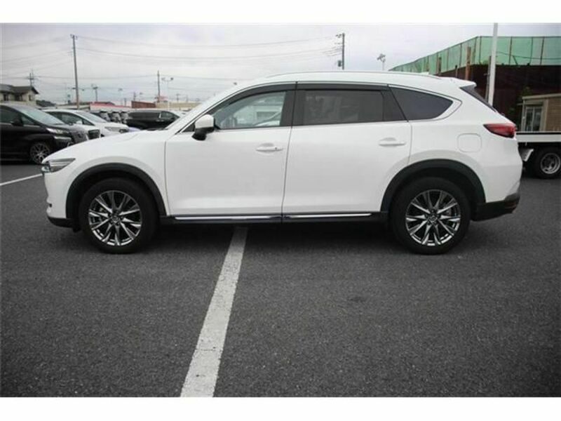 CX-8