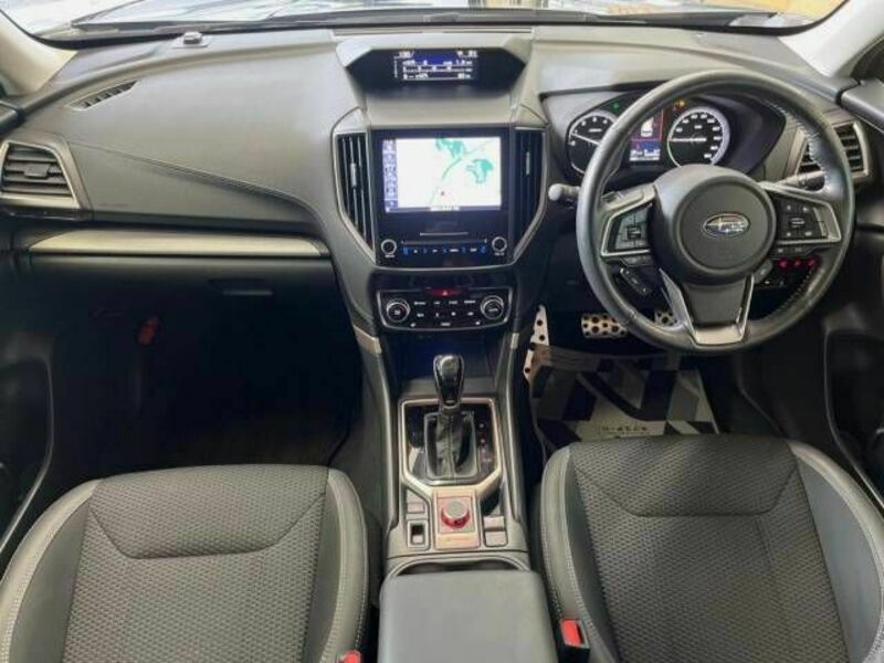 FORESTER-1