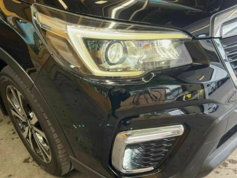 FORESTER-13